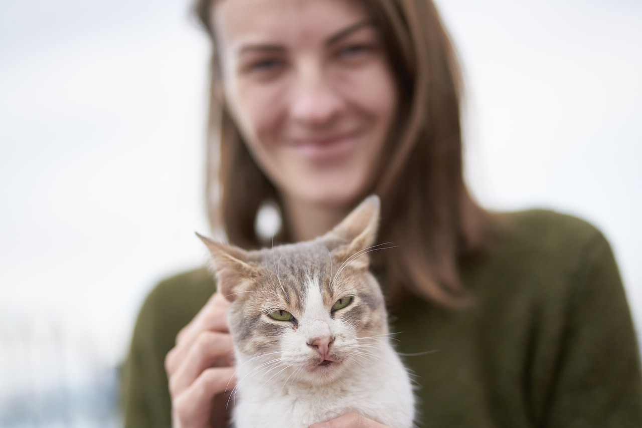 猫咪美容吊床，为爱宠打造全新体验猫咪美容吊床真的有用吗  第1张